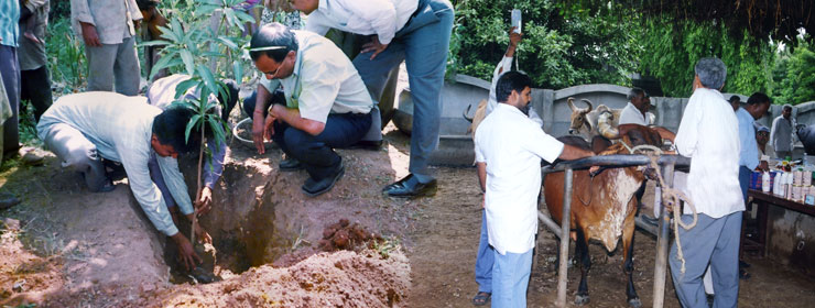 Agriculture & Animal Husbandry | Activities | Narottam Lalbhai Rural  Development Fund